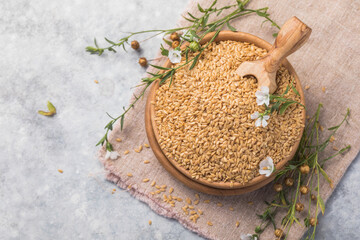 Light linen seeds,  flaxseed and flax flowers on gray background. Copy space