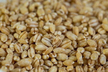 Wheat grain, and scattered on the table, close-up.