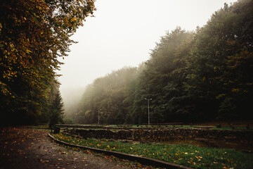  fog in a city park in autumn