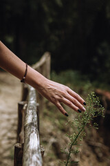 mano de una mujer en contacto con la naturaleza. 