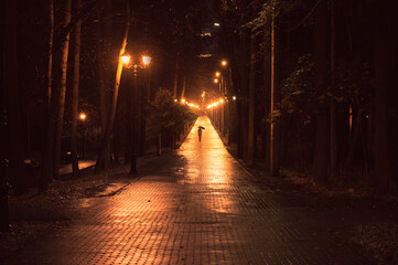 A girl with an umbrella walks along the boulevard in the park at night