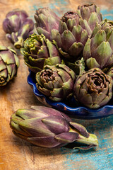 Fresh french petit violet artichokes heads cultivted in Brittany, France