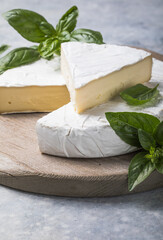 Brie cheese, Camembert cheese  with herbs - obrazy, fototapety, plakaty