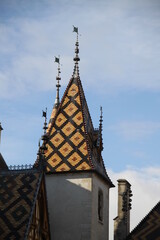 Colored flat tiles historic roof