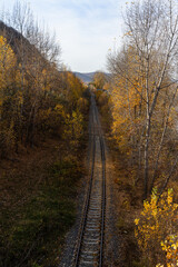 Fototapeta na wymiar Railroad track at the old quarry among autumn trees