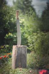 Sharp machete in a wooden tree stump background.