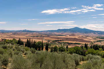 Fototapeta na wymiar Landscape of the Tuscany Region near Pienza in Italy 
