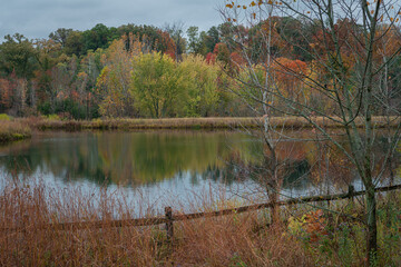 Portrait perspective or a scenic pond at the height of the fall colors
