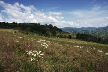 Fototapeta na wymiar July in the Beskids, view from the mountain meadow