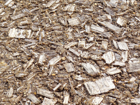 木片再利用の床材