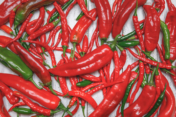 Pile of red and green hot, spicy freshly harvested organic chili peppers, including Anaheim, Dragon Cayenne, Serrano, Big Thai varieties