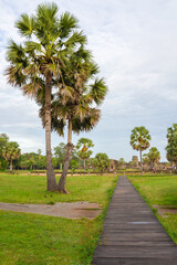 Obraz premium A wooden pathway with palm tree in the historical site of Angkor Wat, Cambodia.