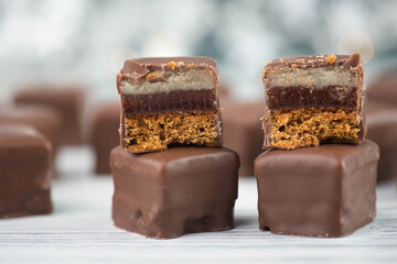 Domino stones, a german traditional christmas sweet with gingerbread, marzipan and jelly covered with brown chocolate, Dominosteine
