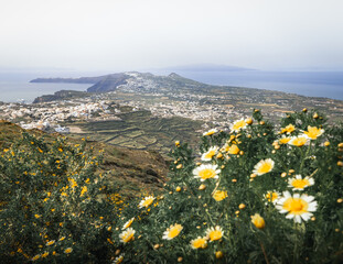 Travel, Nature and Landscape photography from Mykonos, Naxos and Santorin in the Agean Islands in Greece.