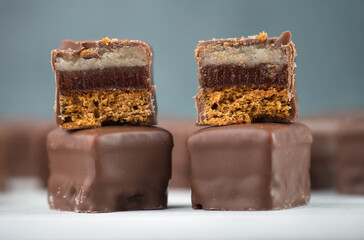 Domino stones, a german traditional christmas sweet with gingerbread, marzipan and jelly covered...