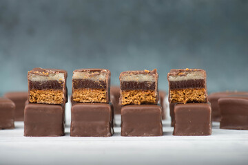 Domino stones, a german traditional christmas sweet with gingerbread, marzipan and jelly covered with brown chocolate, Dominosteine