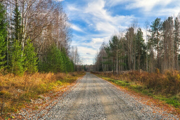 Obraz premium Autumn landscape country road in the forest. Rays of the rising sun falls on the road leading through the picturesque autumnal forest.