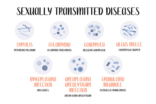 Sexually transmitted diseases. Bacterial infection. Syphilis, Gonorrhea, Chancroid, Ulcus molle, Granuloma inguinale, Ureaplasma and Mycoplasma infections. Gynecology, urology. Vector flat cartoon art
