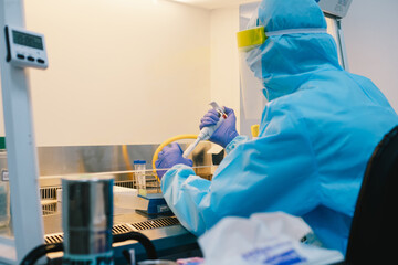 A scientist in PPE safty uniform pipetting sample experiment in biological safety cabinet (BSC).