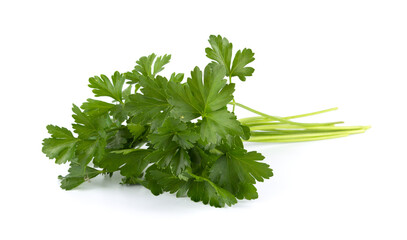 Fresh green leaves of parsley isolated on white background