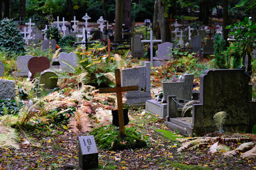 Central Cemetery in Szczecin (Poland). One of the largest necropolises in Europe
