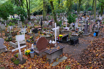 Central Cemetery in Szczecin (Poland). One of the largest necropolises in Europe