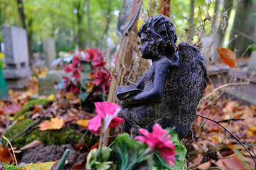 Central Cemetery in Szczecin (Poland). One of the largest necropolises in Europe