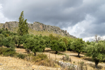 Landscape of Sierra de Grazalema natural park, Cadiz province, Andalusia, Spain.