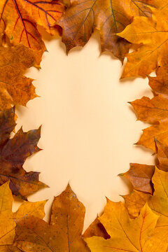 Frame and autumn leaves on a yellow background, mockup for design, place for text, concept of autumn. Copy space.