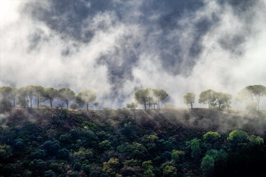 Landscape of Sierra de Grazalema natural park, Cadiz province, Andalusia, Spain.