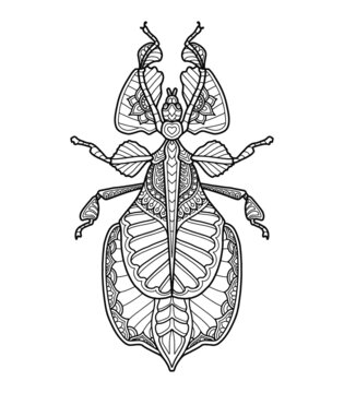 Bugs Mandala Design For Coloring Book Or T Shirt Design Print