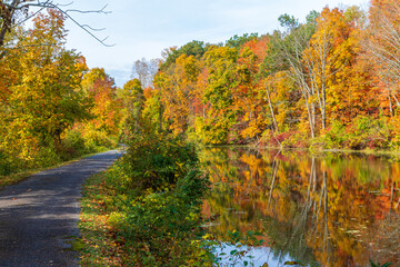 Obraz premium Autumn foliage near a path and a canal
