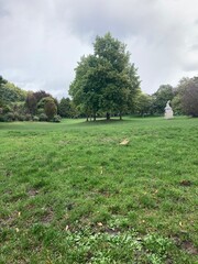 english countryside landscape