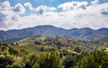 Fototapeta na wymiar Prosecco vineyards panorama, Valdobbiadene, Veneto, Northern Italy, Europe