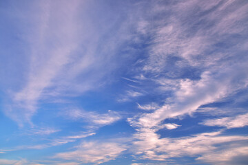 上空に広がる様々な形態の雲と夕焼け