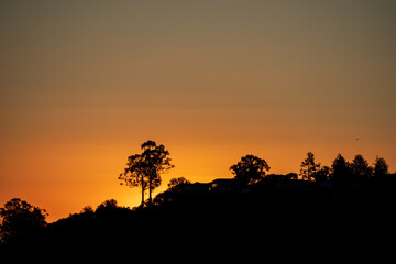 Fototapeta na wymiar Beautiful Scenic Northern California Sunrise in Belmont, California