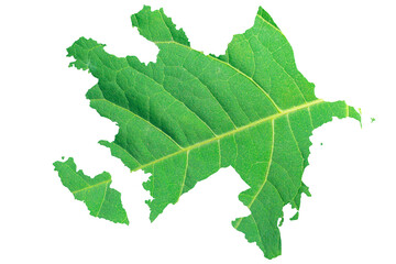 Map of Azerbaijan in green leaf texture on a white isolated background. Ecology, climate concept