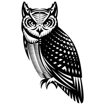 Stylish owl side view. Vector monochrome illustration. White background