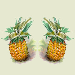 Watercolor hand-paint. Two Ripe juicy pineapples Green leaves. Illustration isolated on yellow.