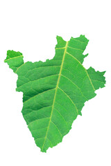 Map of Burundi in green leaf texture on a white isolated background. Ecology, climate concept