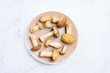 Mushrooms on a plate in the center on a light background. The view from the top. Flatley. Concept of the end of summer, autumn, August.