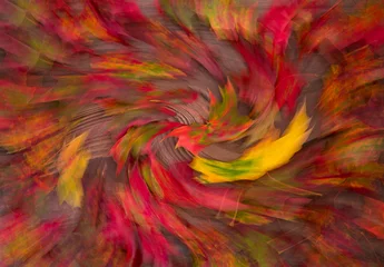 Papier Peint photo Mélange de couleurs Gros plan sur des feuilles d& 39 automne colorées avec un mouvement de caméra intentionnel et un filtre de mouvement appliqué