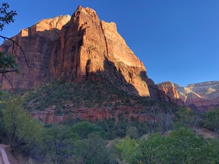 Fototapeta premium park