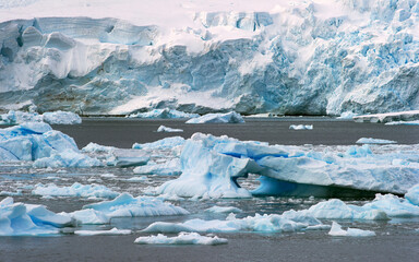 glaciers and icebergs in Antarctica