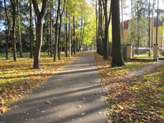 Autumn nature. Walking in the Park.