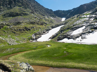 Beautiful wetland from spring, melting ice and snow, alpine mountain meadow called Paradies with lush green grass and flowers. Stubai hiking trail, Summer Tyrol Alps, Austria