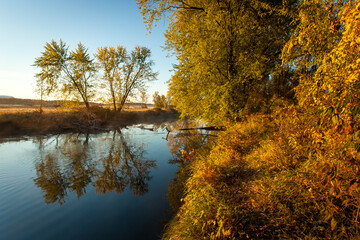 Reflection of trees along the bank of stream with autumn foliage over water 