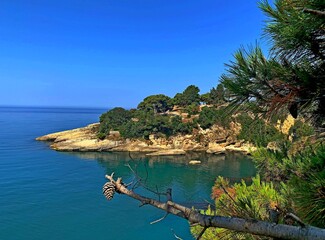 Naklejka premium Mediterranean coast of the island, lush evergreen pine branch over turquoise calm sea water in clear sunny day