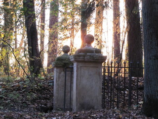 Autumn nature. Walking in the Park.