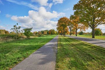 Landscape with an avenue and colorful autumn trees in the surrounding region of Berlin.